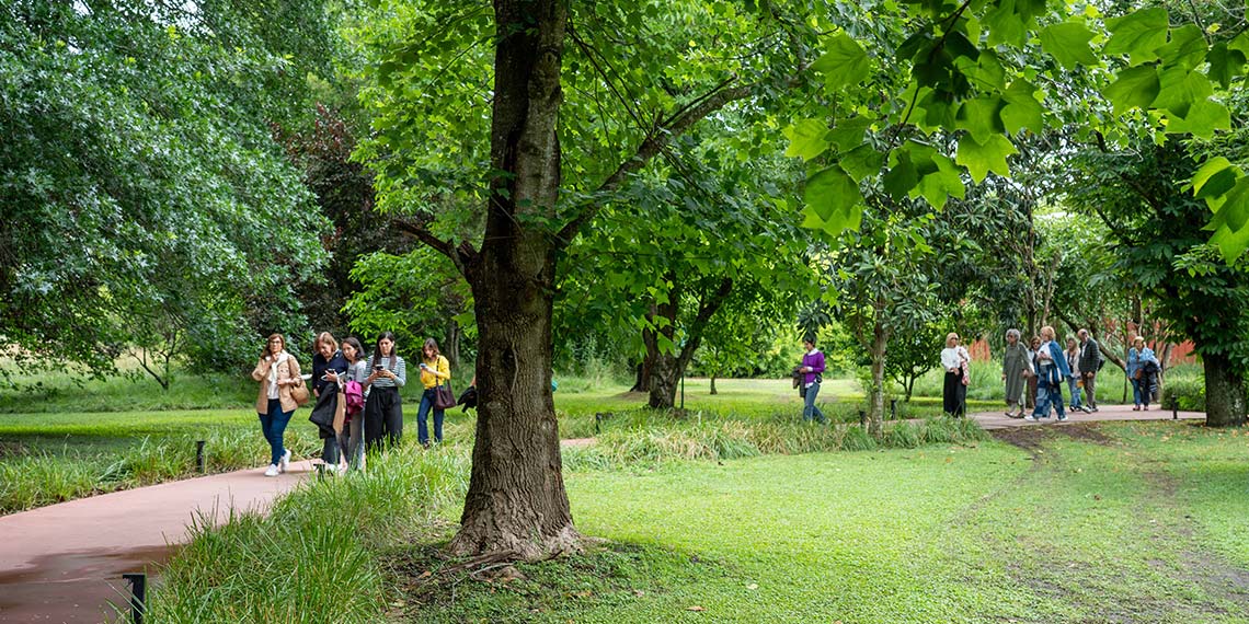 Jornada Anual FADAM 2025